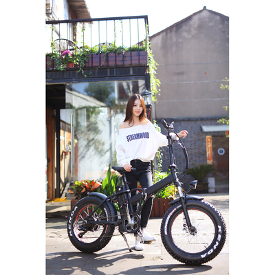 Fat Tire Folding E Bike 20inch Foldable 48v1000w Folding Snow Beach ebike bicycle