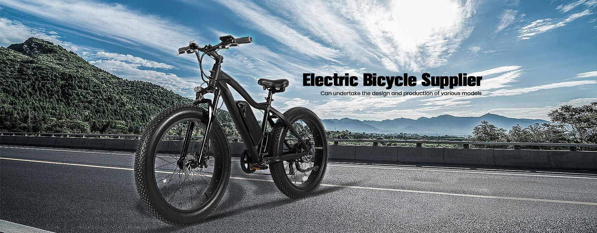 nb power ebike