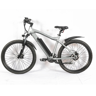 Mountain Electric Bike